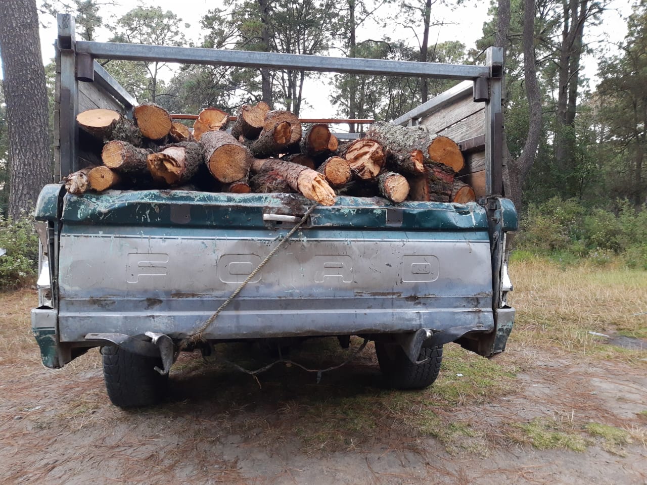 Esta semana se han asegurado vehículos y madera, así como destruido tres hornos de carbón vegetal