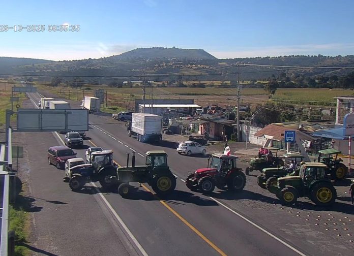 WhatsApp Image 2025-10-28 at 10.18.21 AM